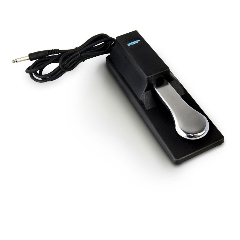 HQRP Sustain Pedal for Casio PS3000 WK3200 WK3700 WK3300 WK3800 WK